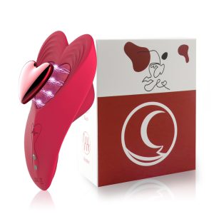 JMW007-APP Controlled Panty Vibrator